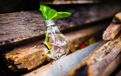 Growth and Evolution for the Direct Selling Industry